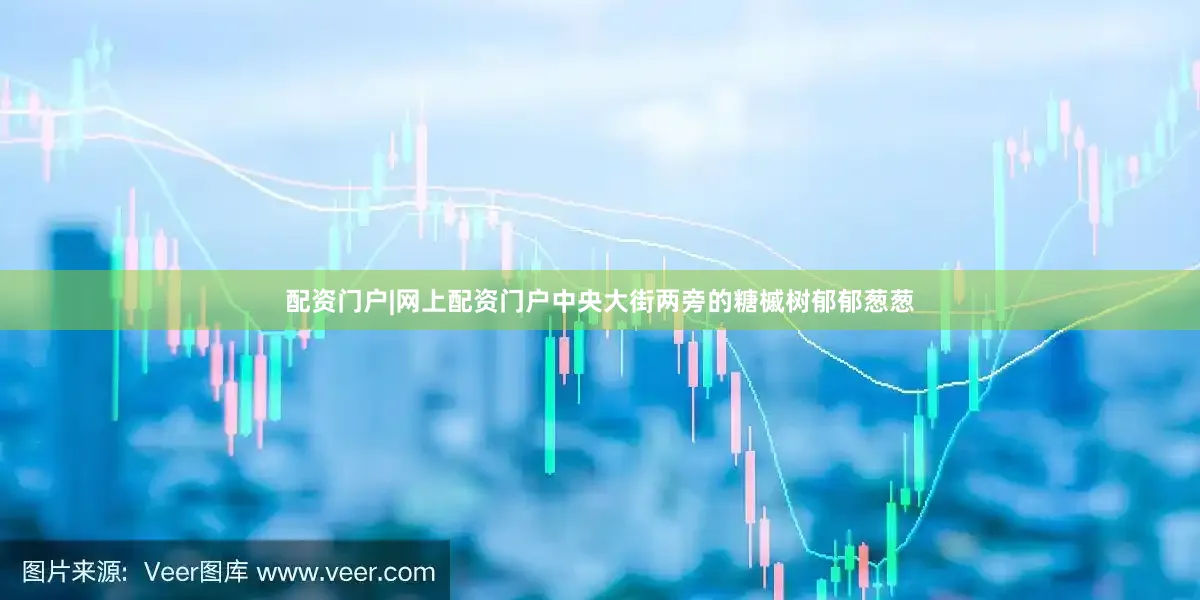 配资门户|网上配资门户中央大街两旁的糖槭树郁郁葱葱